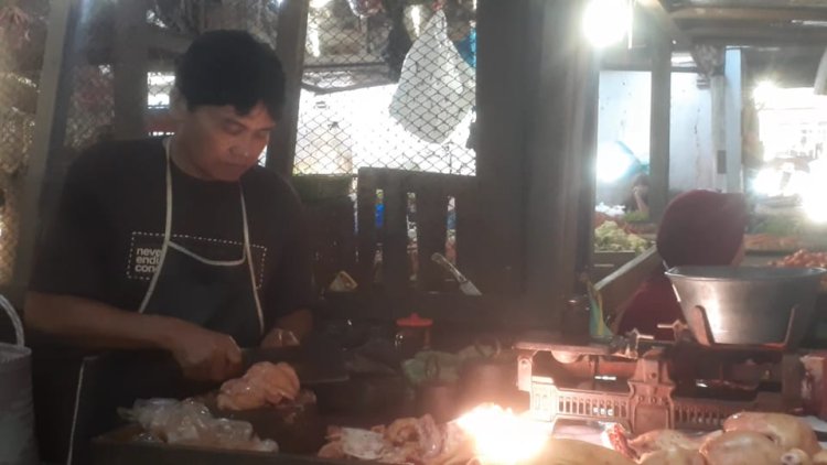Jelang Nataru, Harga Telur dan Daging Ayam di Probolinggo Merangkak Naik
