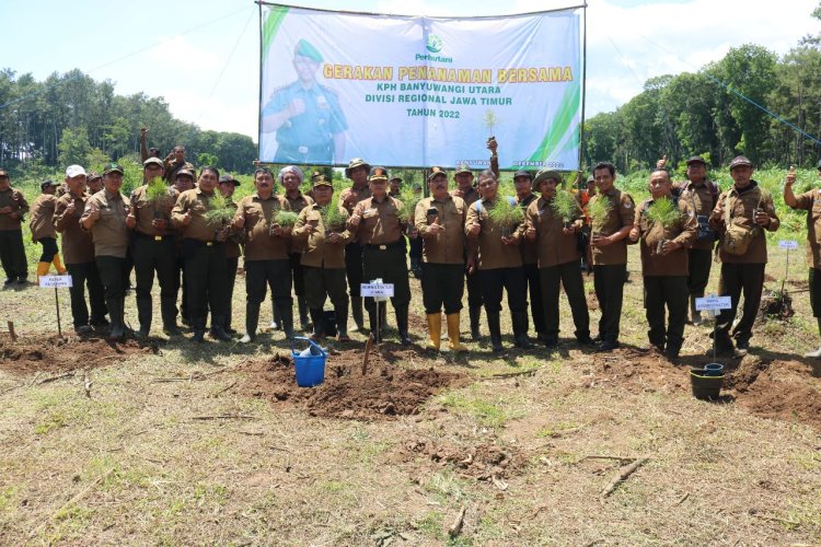 KPH Banyuwangi Utara Gelar Penanaman Pohon di Petak 74 Gombeng BKPH Ketapang