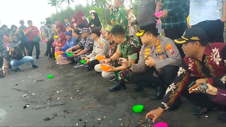 Jaga Ekosistem Penyu, Forkopimda Banyuwangi Lepas Tukik di Pantai Gumuk Kantong