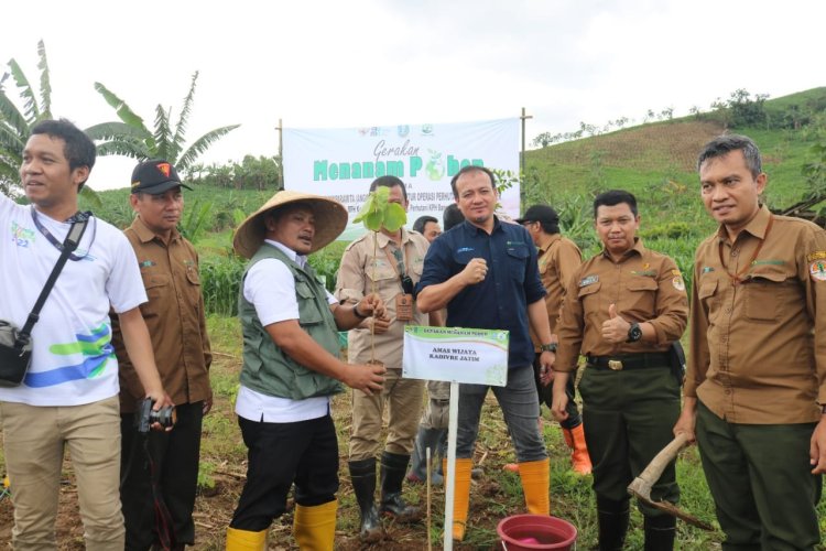 5000 Bibit Pohon Ditanam di BKPH Genteng Banyuwangi