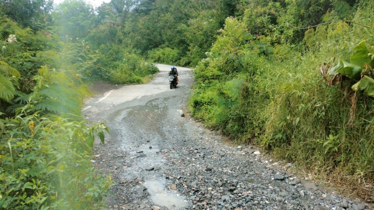 Anggota DPR RI Minta Pj Gubenur Aceh Perbaiki Jalan Takengon - Gayo Lues