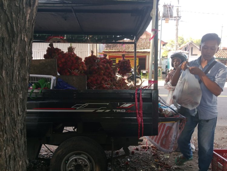 Dari Jualan Rambutan, Sehari Bisa Untung Rp500 Ribu