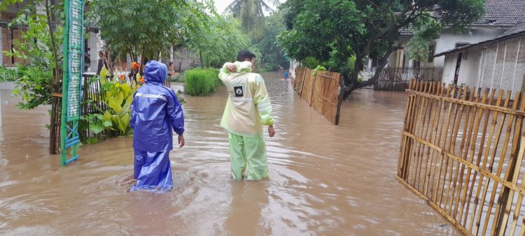 Hujan Deras, Banjir Landa Desa Sumberwaru Situbondo