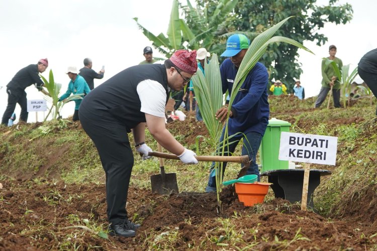 Bupati Kediri Dampingi Mentan Tanam Kelapa Genjah