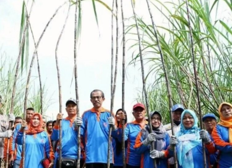 Bentuk Rasa Syukur Panen Melimpah, Poktan Mekar Tani Gelar Kenduren Methil Tebu Serta Launching Inovasi POC