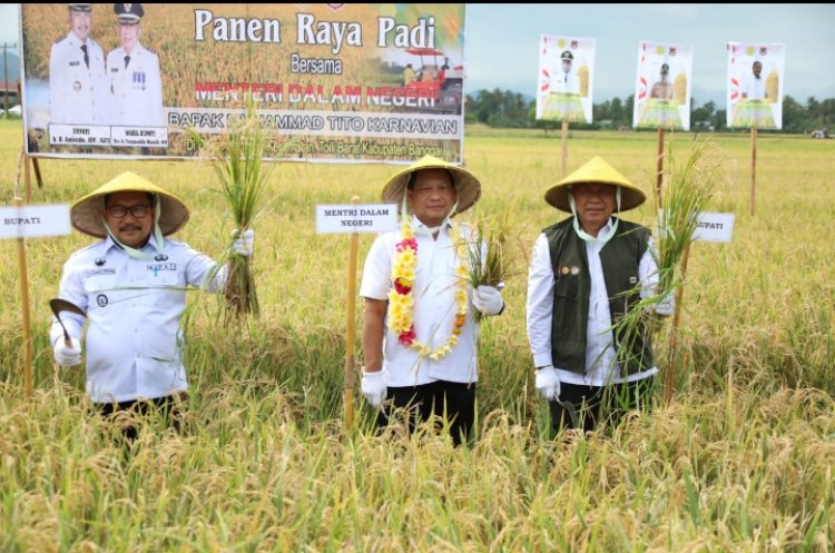 Panen Raya Padi di Banggai, Mendagri: Bukti Kita Memiliki Kemampuan Produksi