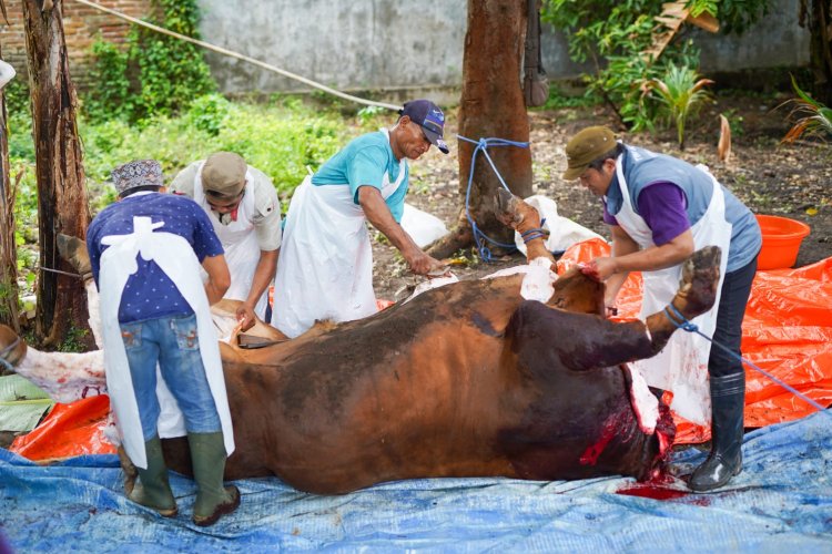 Pemkab Kediri Cek Keadaan Daging Kurban, Ada Apa?