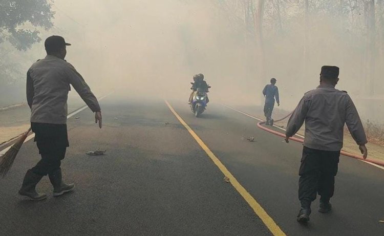 Baluran Terbakar, Api Menyambar dan Asap Menutupi Badan Jalan