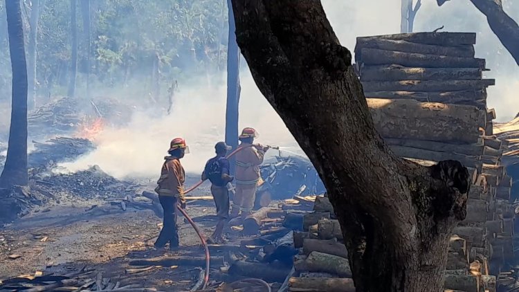 Gudang Pemotongan Kayu Terbakar, Jalur Probolinggo Lumajang Tersendat