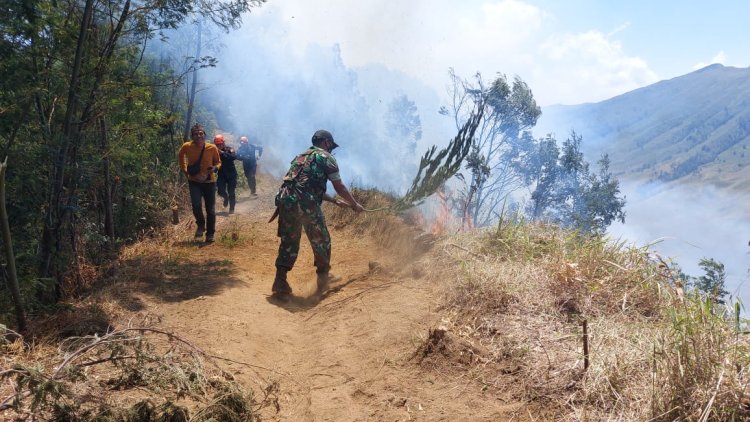 Puncak Kemarau, Dua Hektare Savana di TNBTS Terbakar