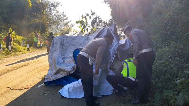 Ternyata Korban Jeep Terjun ke Jurang Gunung Bromo Satu Keluarga