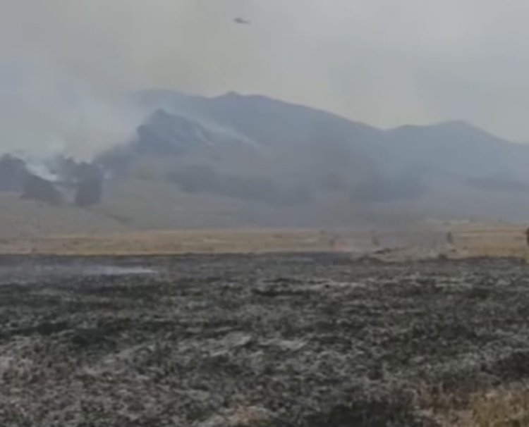 Hari ke-6 Kebakaran Bromo, Api di Bukit Teletubbies  Padam