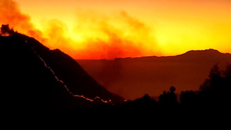 Pasca Kebakaran, Wisata Alam Gunung Bromo Dibuka Total