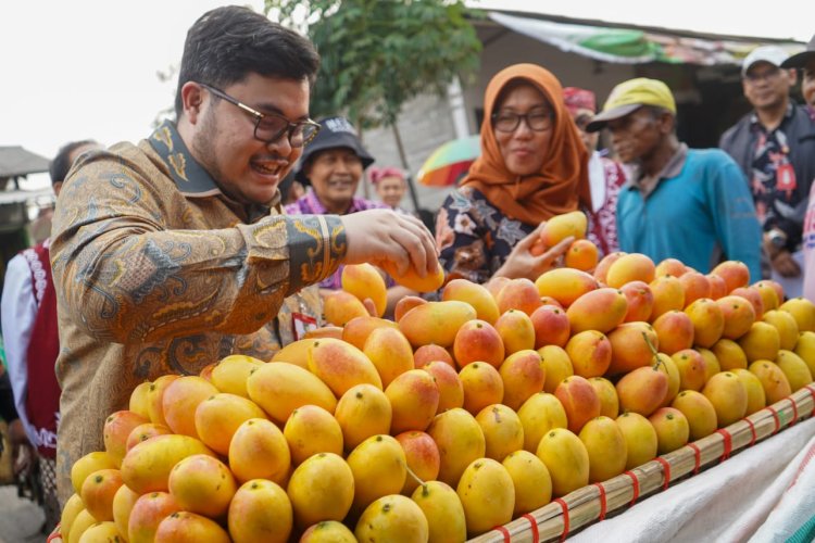 Pesan Mas Dhito Bagi Petani Mangga Podang: Jangan di Booster