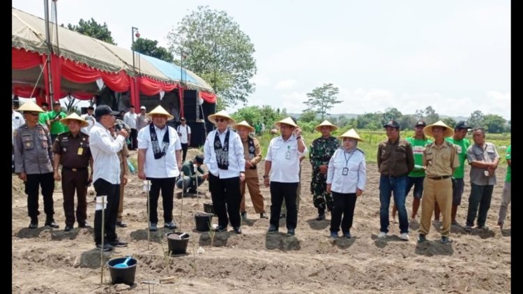 Swasembada Gula, Wakil Menteri Pertanian Kunjungi Blitar