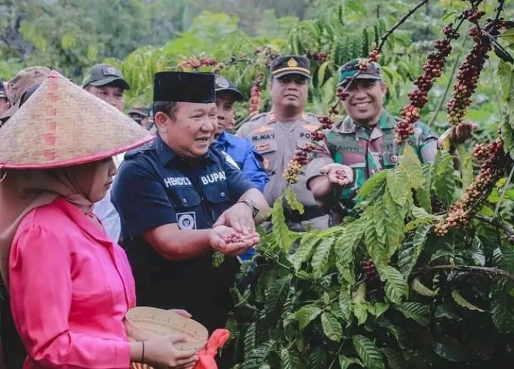 Bupati Hendy Patenkan Varietas Kopi Robusta Jember