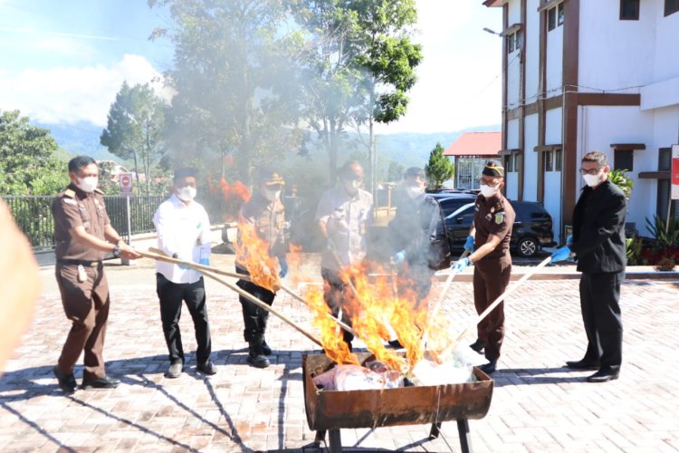 Kejari Gayo Lues Musnahkan Barbuk Narkotik