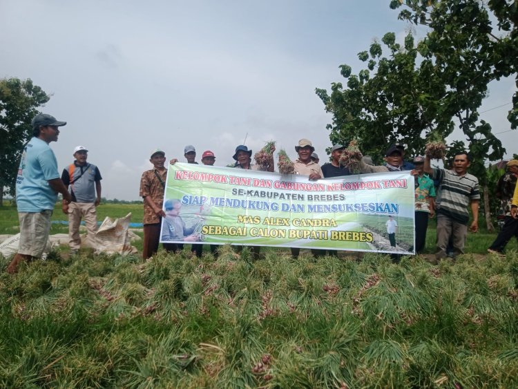 Petani di Brebes Dukung Dian Alek Maju Pilkada 2024