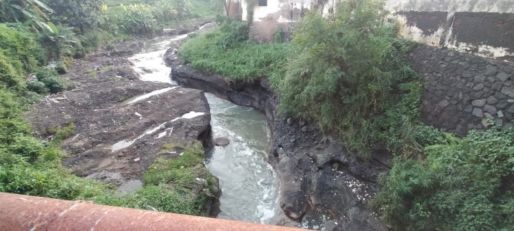 Warga Desa Mulyoarjo Lawang Malang Keluhkan  Limbah Berbau Menyengat