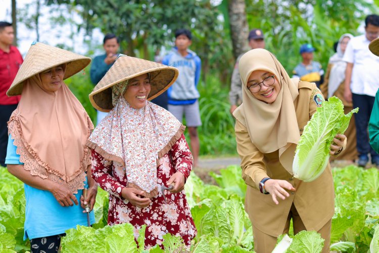 Bupati Banyuwangi Miliki Prorgam Top Kanggo Riko, Apa itu? 