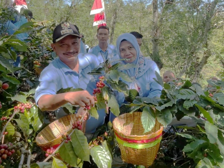 Golden Wood Coffee, Kopi Situbondo yang Berpotensi Mendunia