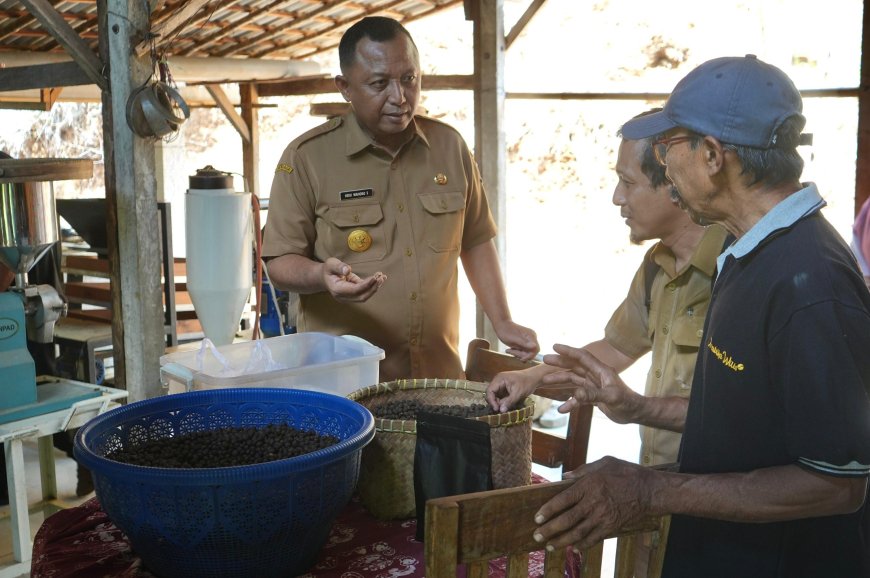 Pemkab Kediri Minta Petani Lereng Gunung Wilis Hasilkan Komoditas Kopi Berkualitas