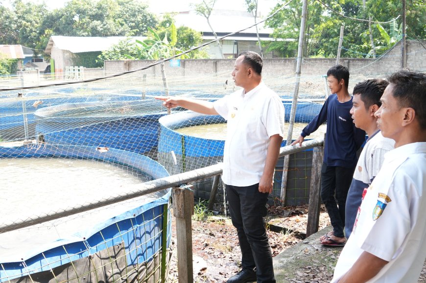 Intip Dua Produsen Lele, Pemkab Kediri Dorong Penguatan Nilai Jual